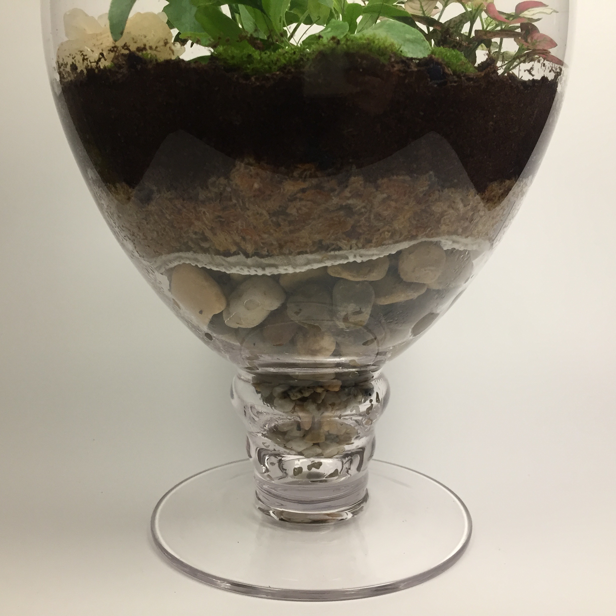 "Matilda" Large closed living terrarium with glass lid and natural gemstone.
