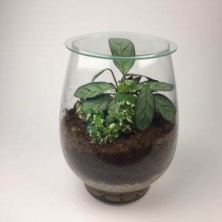 T45 Terrarium 20cm (h) x 14cm (w)